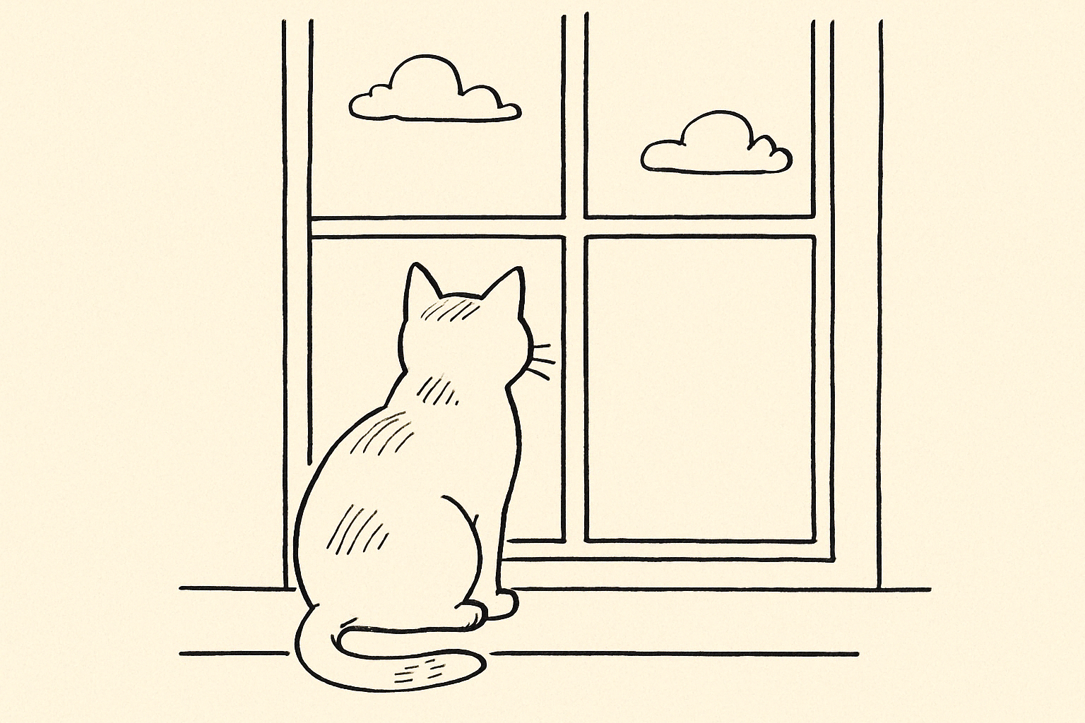 창가에 앉아 바깥을 보는 고양이 선화